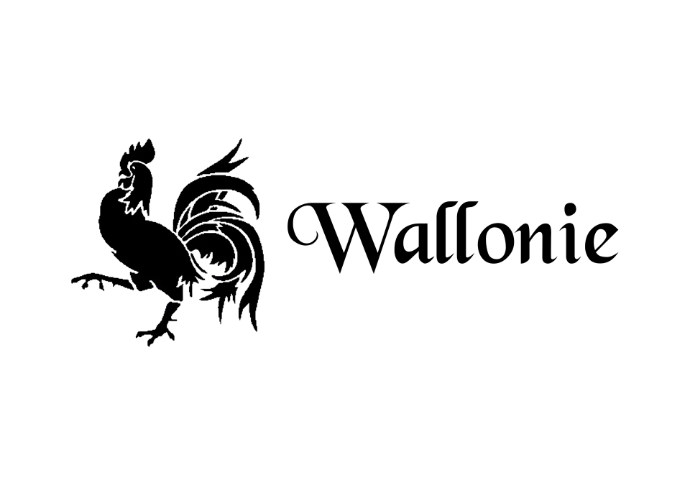 Conseil avant achat immobilier Wallonie